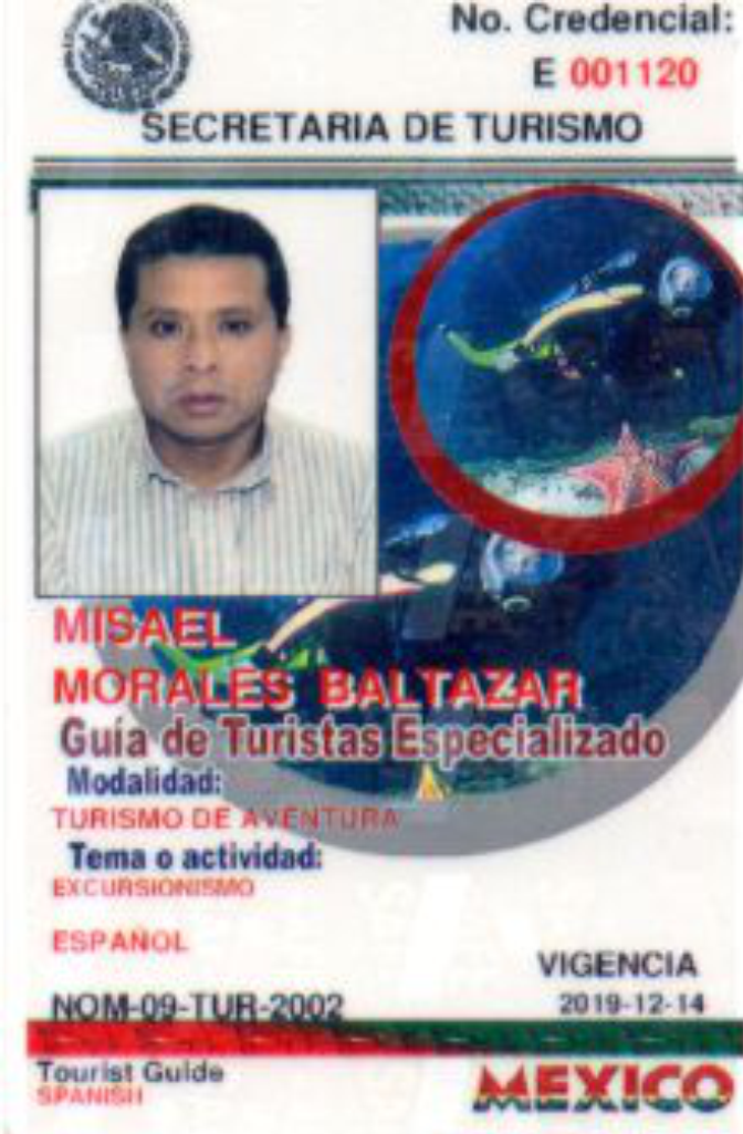 Misael Morales B.